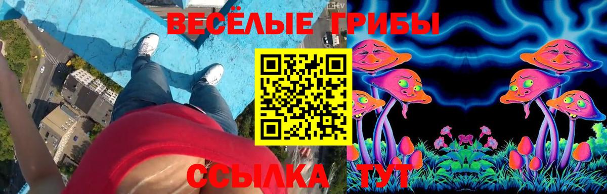 Псилоцибиновые грибы мухоморы  Вход с VPN  Псилоцибиновые грибы ЛСД  Павлово 